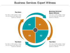 Business Services Expert Witness Ppt PowerPoint Presentation File Show Cpb