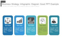 Business Strategy Infographic Diagram Good Ppt Example
