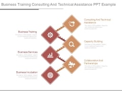 Business Training Consulting And Technical Assistance Ppt Example Business Training Consulting And Technical Assistance Ppt Example