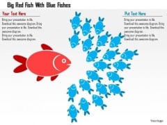 Business Diagram Big Red Fish With Blue Fishes Presentation Template Business Diagram Big Red Fish With Blue Fishes Presentation Template
