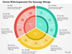 Business Diagram Circle With Segments For Synergy Merger Presentation Template Business Diagram Circle With Segments For Synergy Merger Presentation Template