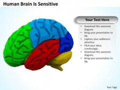 Business Expansion Strategy Human Brain Is Sensitive Pictures Business Expansion Strategy Human Brain Is Sensitive Pictures