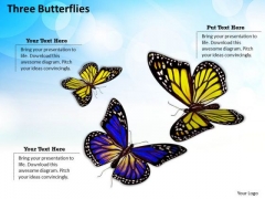Business Integration Strategy Three Butterflies Success Images