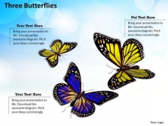Business Integration Strategy Three Butterflies Success Images Business Integration Strategy Three Butterflies Success Images