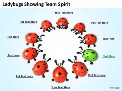 Business Level Strategy Ladybugs Showing Team Spirit Pictures Business Level Strategy Ladybugs Showing Team Spirit Pictures