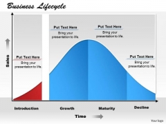 Business Lifecycle PowerPoint Presentation Template Business Lifecycle PowerPoint Presentation Template