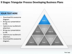 Business Process Diagram Chart Triangular Developing Plans Ppt PowerPoint Slides Business Process Diagram Chart Triangular Developing Plans Ppt PowerPoint Slides