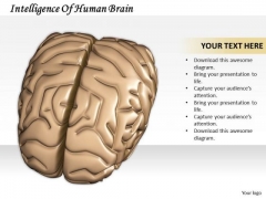 Business Strategy Development Intelligence Of Human Brain Images And Graphics