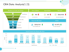 CRM Data Analysis Revenue Customer Relationship Management CRM Infographics PDF