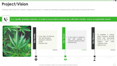 Cannabis Venture Capital Funding Project Vision Demonstration PDF