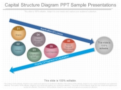 Capital Structure Diagram Ppt Sample Presentations Capital Structure Diagram Ppt Sample Presentations