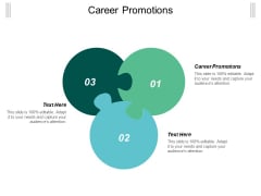 Career Promotions Ppt PowerPoint Presentation Model Examples Cpb