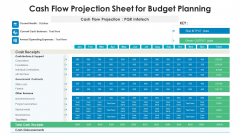 Cash Flow Projection Sheet For Budget Planning Ppt PowerPoint Presentation File Aids PDF