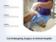 Cat Undergoing Surgery At Animal Hospital Ppt PowerPoint Presentation Layouts Example PDF