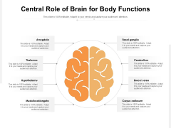 Central Role Of Brain For Body Functions Ppt PowerPoint Presentation File Graphic Tips PDF Central Role Of Brain For Body Functions Ppt PowerPoint Presentation File Graphic Tips PDF