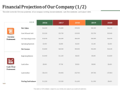 Challenges And Opportunities For Merchant Acquirers Financial Projection Of Our Company Net Formats PDF Challenges And Opportunities For Merchant Acquirers Financial Projection Of Our Company Net Formats PDF