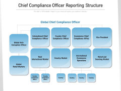 Chief Compliance Officer Reporting Structure Ppt Gallery Graphics Example PDF Chief Compliance Officer Reporting Structure Ppt Gallery Graphics Example PDF