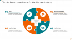 Circular Breakdown Puzzle For Healthcare Industry Information PDF
