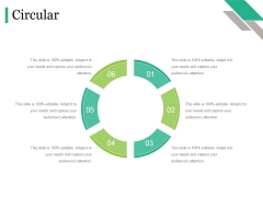 Circular Ppt PowerPoint Presentation Ideas Icons Circular Ppt PowerPoint Presentation Ideas Icons