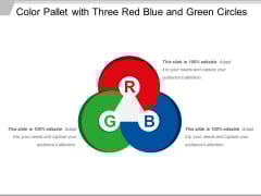 Color Pallet With Three Red Blue And Green Circles Ppt PowerPoint Presentation File Slideshow PDF Color Pallet With Three Red Blue And Green Circles Ppt PowerPoint Presentation File Slideshow PDF