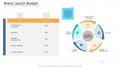 Commodity Unique Selling Proposition Brand Launch Budget Portrait PDF Commodity Unique Selling Proposition Brand Launch Budget Portrait PDF