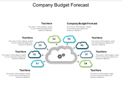 Company Budget Forecast Ppt PowerPoint Presentation Layouts Graphics Pictures Cpb