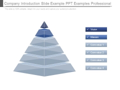 Company Introduction Slide Example Ppt Examples Professional Company Introduction Slide Example Ppt Examples Professional