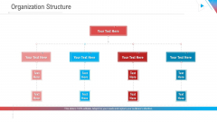 Company Outline Organization Structure Ppt Inspiration Slideshow PDF