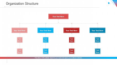 Company Outline Organization Structure Ppt Inspiration Slideshow PDF Company Outline Organization Structure Ppt Inspiration Slideshow PDF