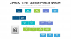 Company Payroll Functional Process Framework Ppt Gallery Portfolio PDF