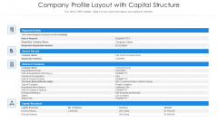 Company Profile Layout With Capital Structure Ppt Portfolio Vector PDF Company Profile Layout With Capital Structure Ppt Portfolio Vector PDF