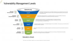 Company Vulnerability Administration Vulnerability Management Levels Elements PDF Company Vulnerability Administration Vulnerability Management Levels Elements PDF