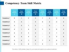 Competency Team Skill Matrix Ppt PowerPoint Presentation Styles Visual Aids