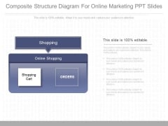 Composite Structure Diagram For Online Marketing Ppt Slides Composite Structure Diagram For Online Marketing Ppt Slides