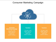 Consumer Marketing Campaign Ppt PowerPoint Presentation Inspiration Cpb