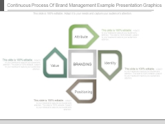 Continuous Process Of Brand Management Example Presentation Graphics