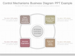 Control Mechanisms Business Diagram Ppt Example Control Mechanisms Business Diagram Ppt Example