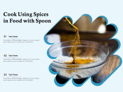 Cook Using Spices In Food With Spoon Ppt PowerPoint Presentation Inspiration Graphics Example PDF