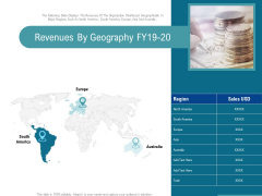 Corporate Execution And Financial Liability Report Revenues By Geography FY19 20 Designs PDF