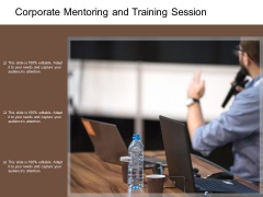 Corporate Mentoring And Training Session Ppt PowerPoint Presentation Inspiration Backgrounds