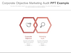 Corporate Objective Marketing Audit Ppt Example Corporate Objective Marketing Audit Ppt Example