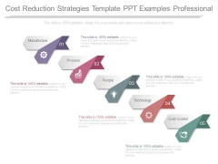 Cost Reduction Strategies Template Ppt Examples Professional Cost Reduction Strategies Template Ppt Examples Professional