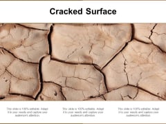 Cracked Surface Ppt PowerPoint Presentation Graphics