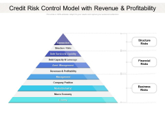 Credit Risk Control Model With Revenue And Profitability Ppt PowerPoint Presentation Inspiration Graphics Download