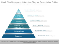 Credit Risk Management Structure Diagram Presentation Outline Credit Risk Management Structure Diagram Presentation Outline