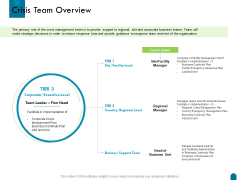 Crisis Management Crisis Team Overview Ppt Professional Template PDF Crisis Management Crisis Team Overview Ppt Professional Template PDF