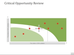 Critical Opportunity Review Ppt PowerPoint Presentation Outline Background