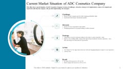 Current Market Situation Of ADC Cosmetics Company Portrait PDF Current Market Situation Of ADC Cosmetics Company Portrait PDF
