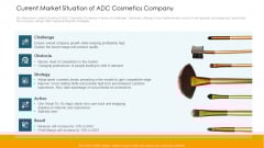 Current Market Situation Of ADC Cosmetics Company Professional PDF Current Market Situation Of ADC Cosmetics Company Professional PDF