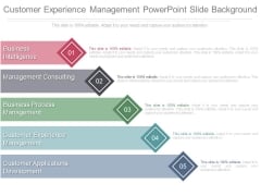 Customer Experience Management Powerpoint Slide Background Customer Experience Management Powerpoint Slide Background